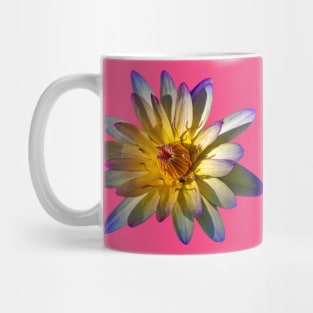 Yellow and purple Lily flower Mug